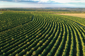 220927-CREA-banner-FT-agro