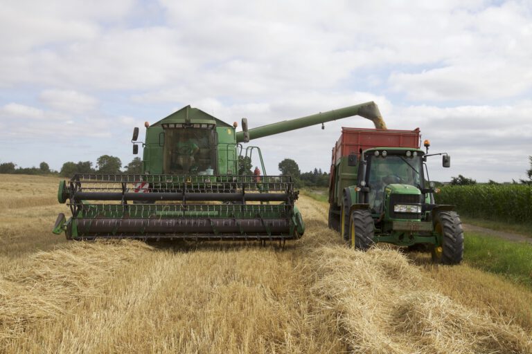 Agro (2)