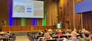 Adv. Wilson Levy e Geo