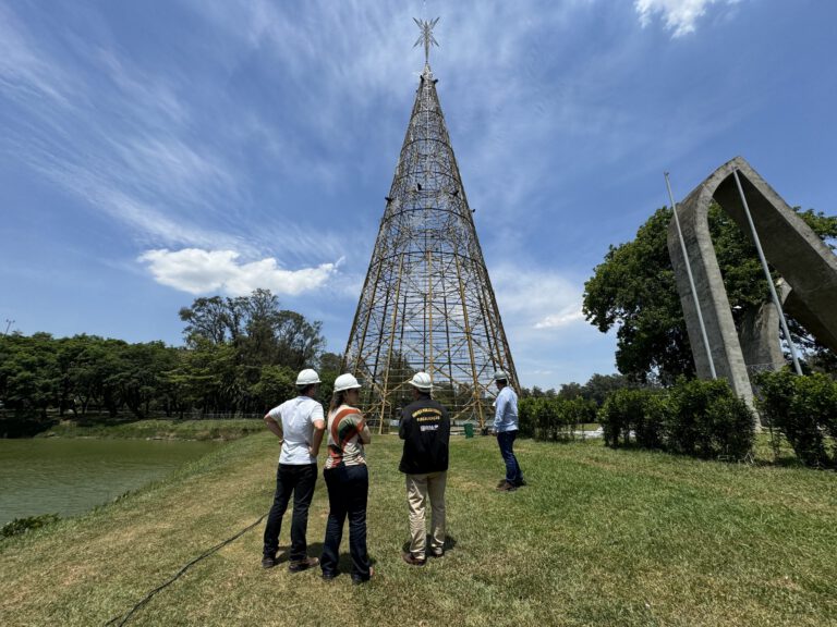 Crea-Ibirapuera (1)