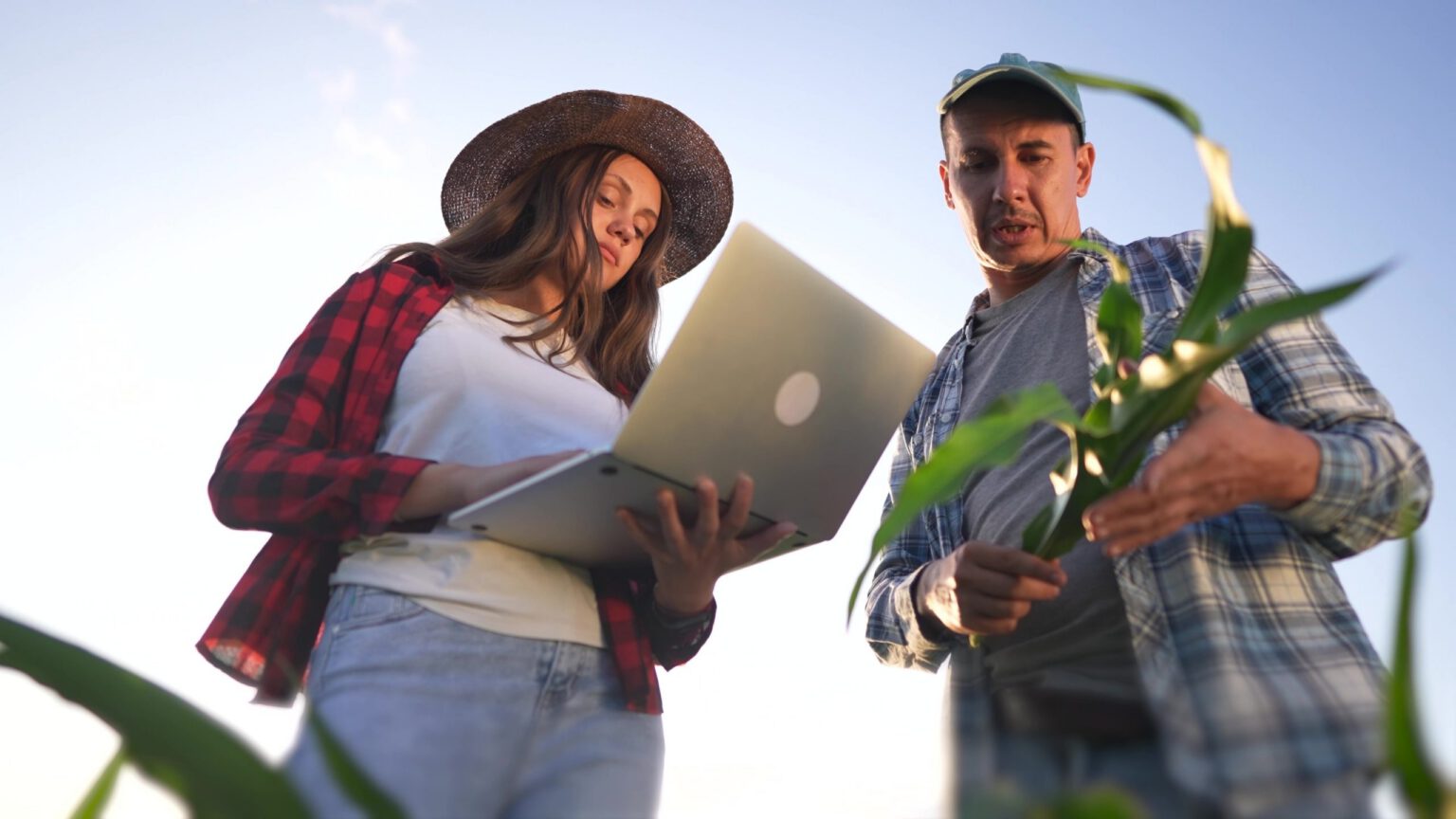 Dia-do-Engenheiro-Agrônomo