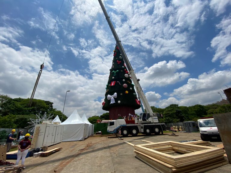 fisc arvore de natal 1