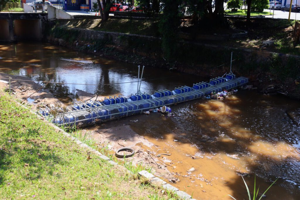 Engenheira-Lígia-Marta-Mackey-Presidente-do-Crea-SP