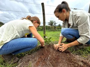 Mudas-projeto-piloto-Carbono-Zero (3)