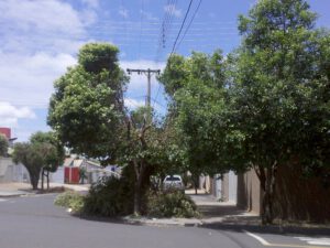 PHOTO-2026-01-12-14-31-37 (1)