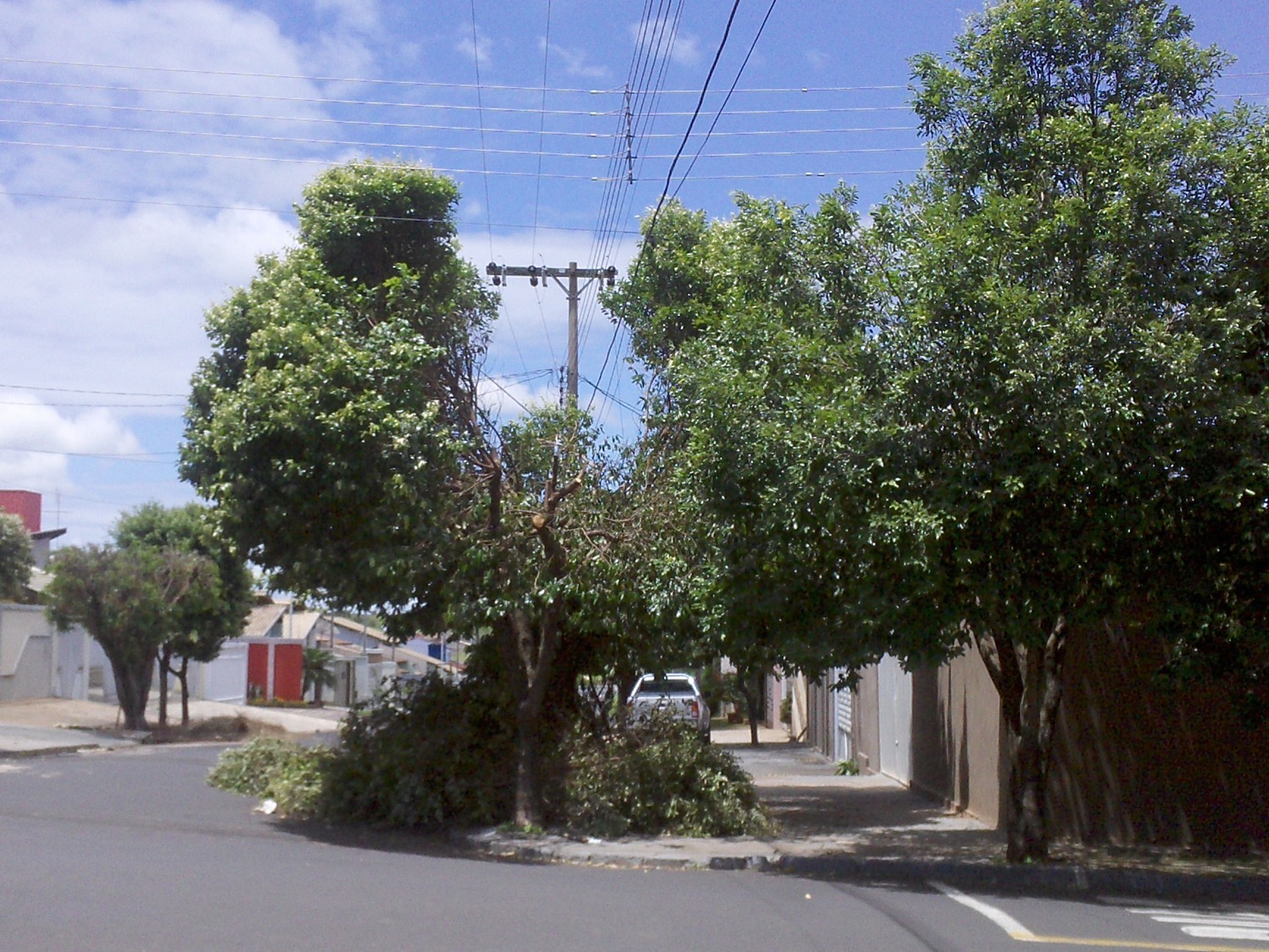 PHOTO-2026-01-12-14-31-37 (1)