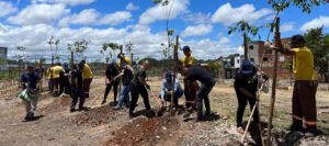 Luiz Gustavo Martinelli Delgado e Luciana Feldman com ART de Obra e Serviço do plantio de mudas