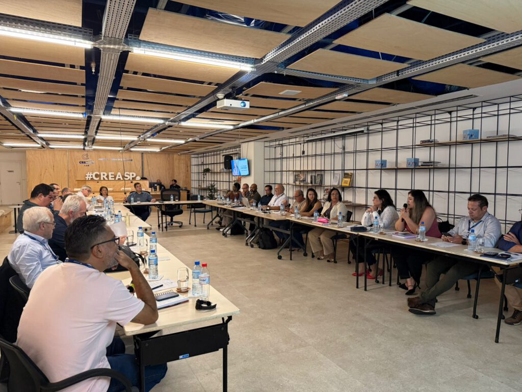 Reunião de coordenadores das Câmaras Especializadas 2