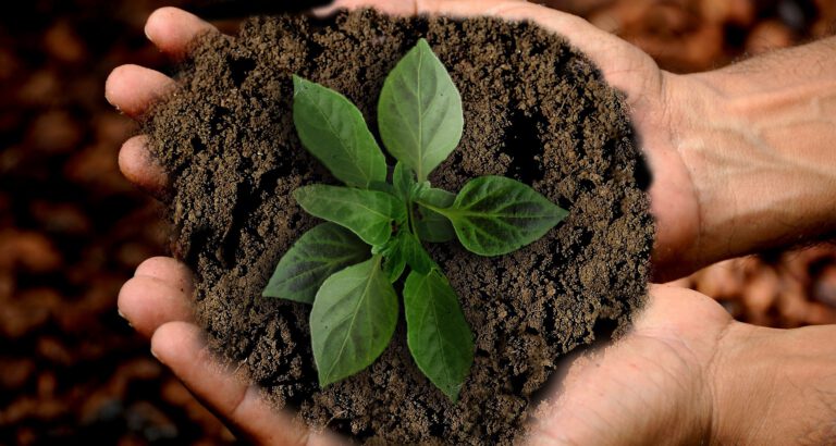 Sustentabilidade-ODS