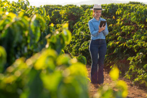 Farmer woman with tablet in coffee plantation