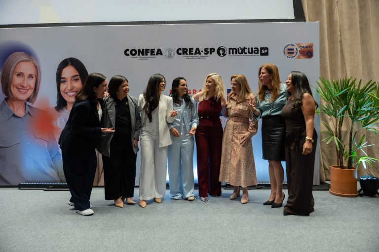 Comitê gestor do programa mulher 2026